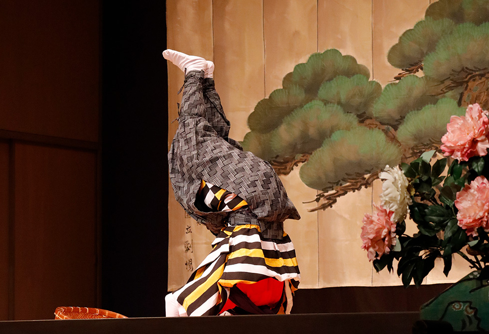 牡丹獅子イメージ06