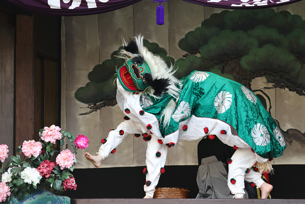 牡丹獅子イメージ4