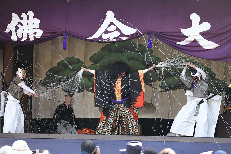 土蜘蛛イメージ4