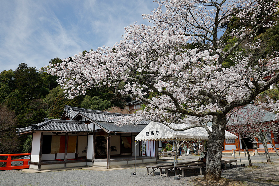 鞍馬寺山上拝殿イメージ