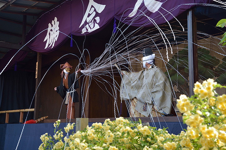 土蜘蛛解説写真