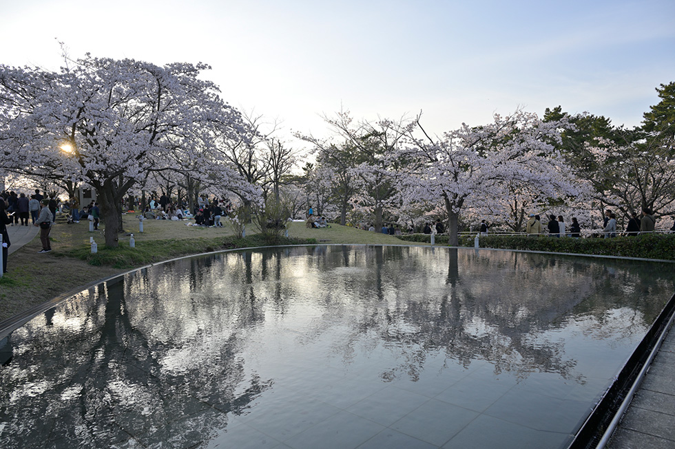 ART MIX JAPAN 2025会場イメージ