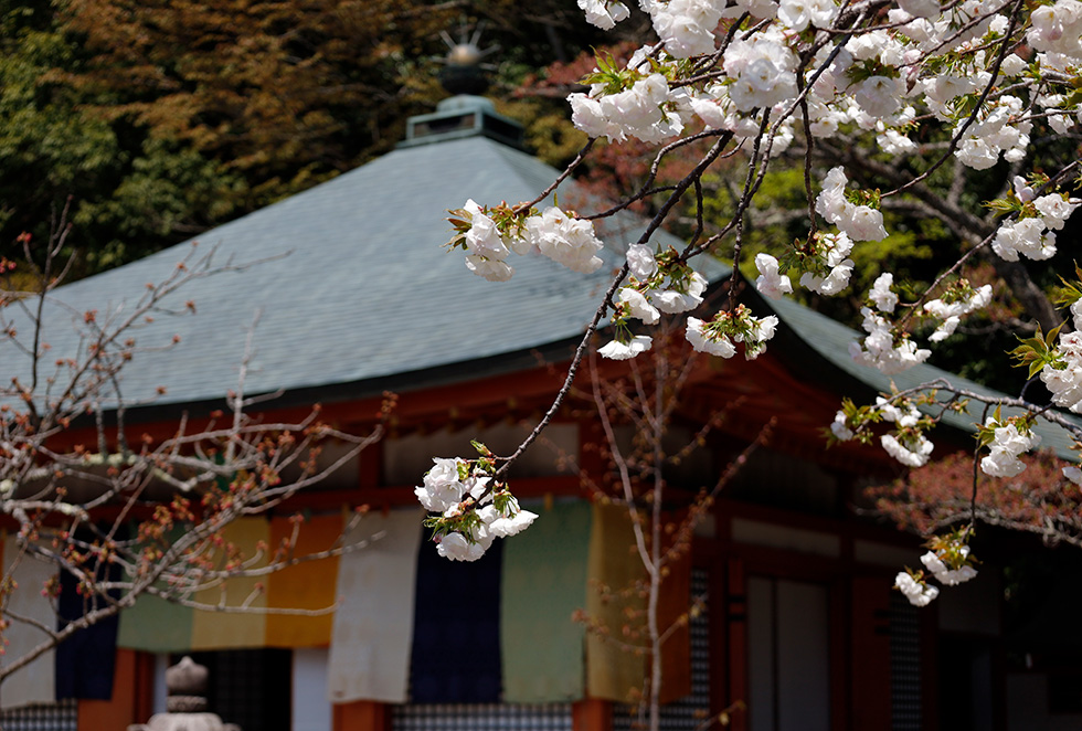 鞍馬寺予告舞台イメージ
