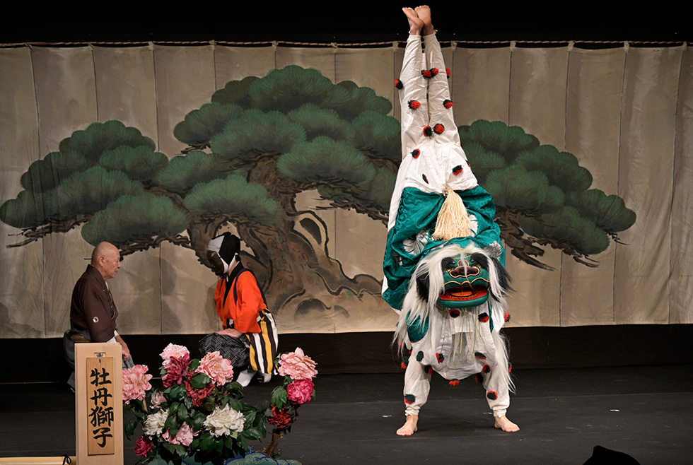 牡丹獅子イメージ3