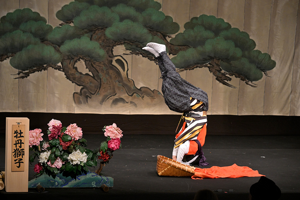 牡丹獅子イメージ7